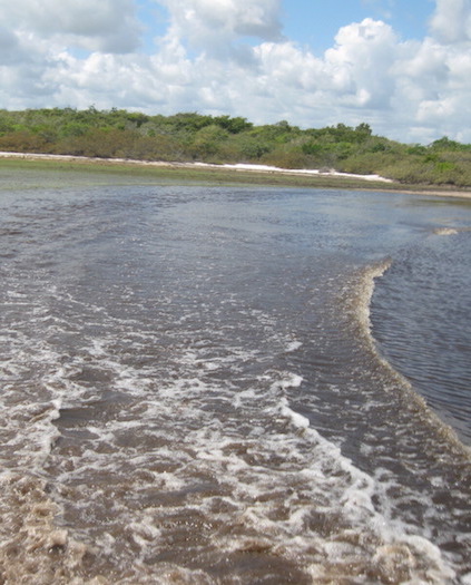 water jeep lencois maranhenses brazilie