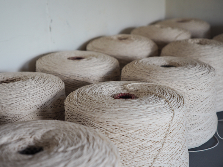 winkeltje-Cottonant-in-taiwan-bij-donghe