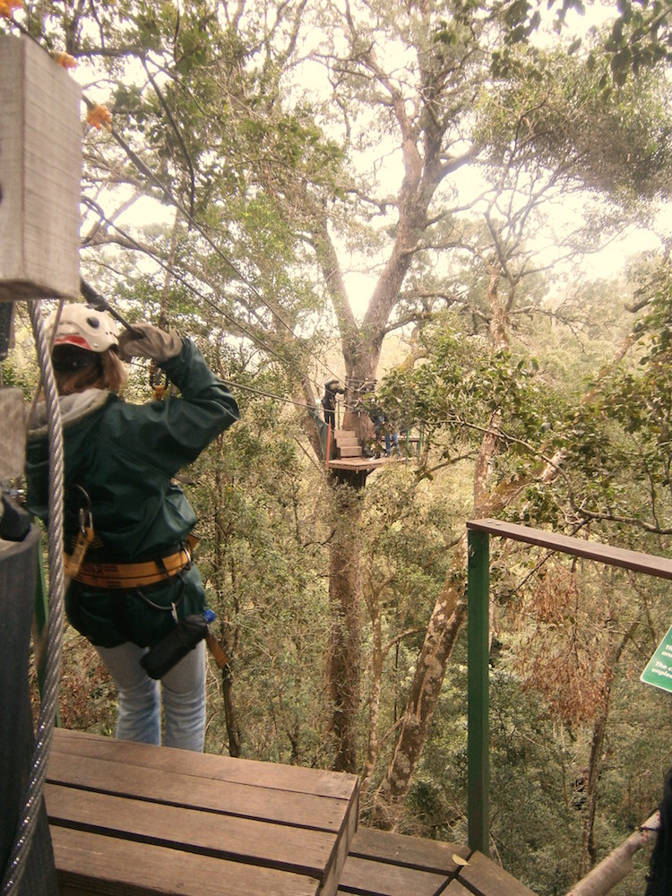 Ziplinen garden route zuid afrika